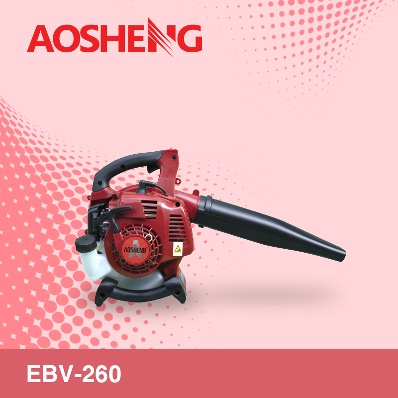 EBV-260